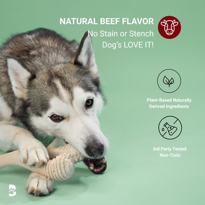 Juguete masticable BetterBone de durabilidad media: Ideal para masticadores cotidianos | Ingredientes naturales, ecológico, no tóxico