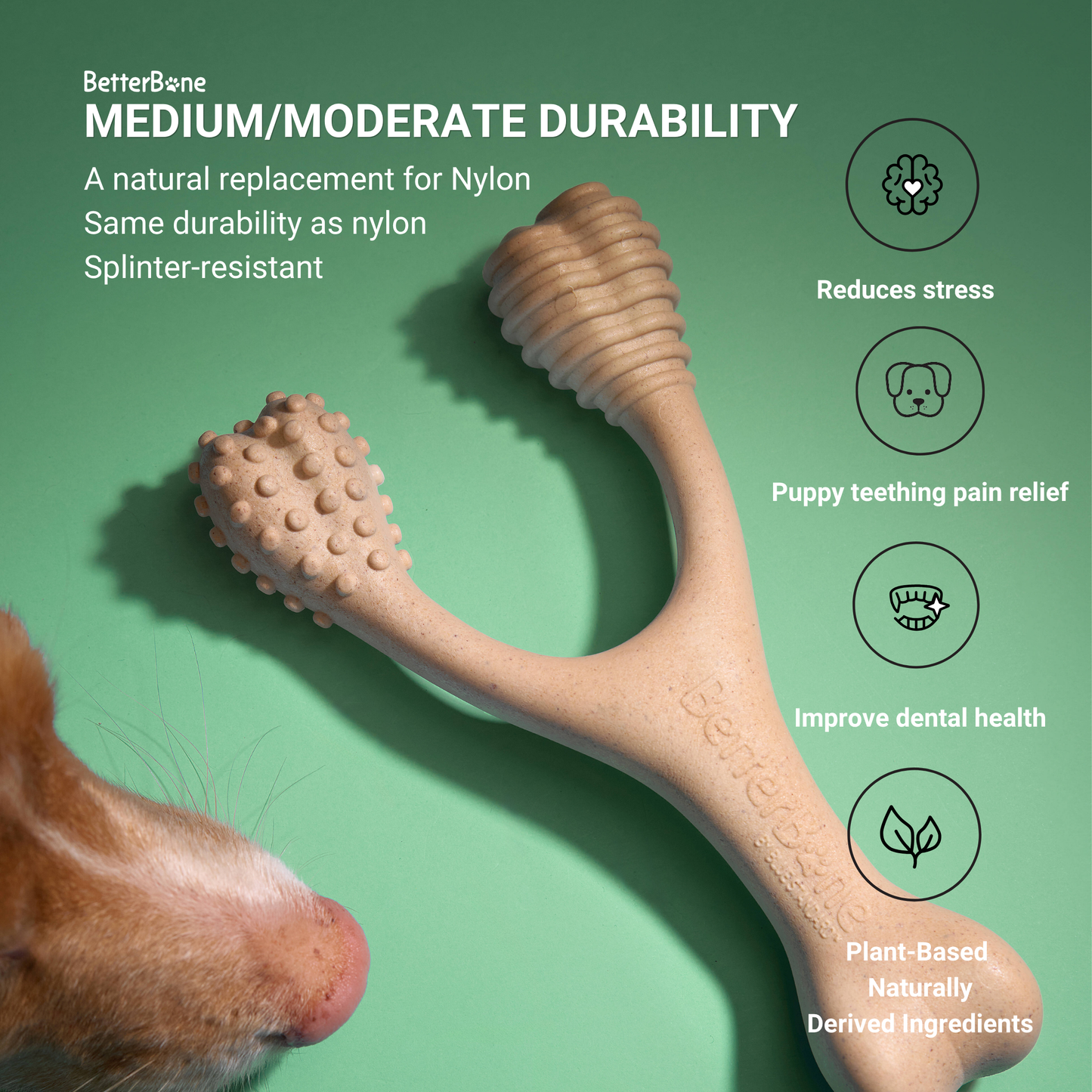 Juguete masticable BetterBone de durabilidad media: Ideal para masticadores cotidianos | Ingredientes naturales, ecológico, no tóxico