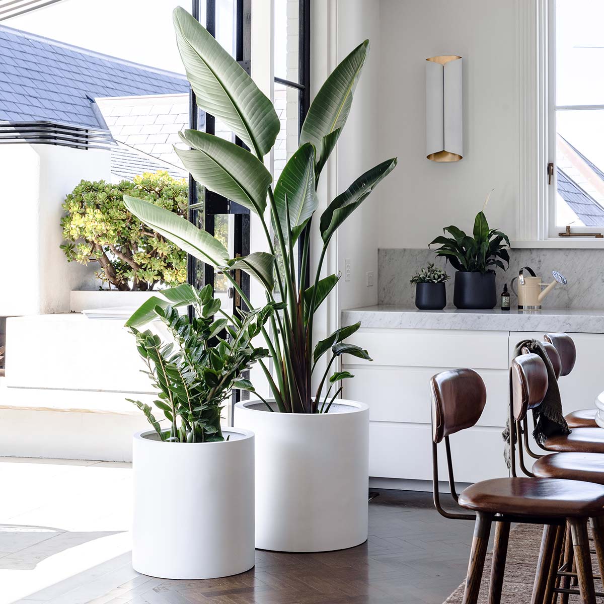 The Choob Contemporary Planter | Sleek Cylinder Pot Set
