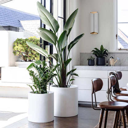 The Choob Contemporary Planter | Sleek Cylinder Pot Set