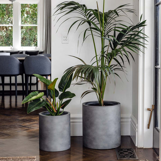 The Choob Contemporary Planter | Sleek Cylinder Pot Set