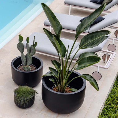 The Chop Low-Profile Planter | Wide Rim Feature Tree Pot