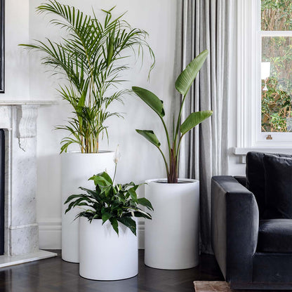 The Loob Tall Planter | Slim Contemporary Column Pot