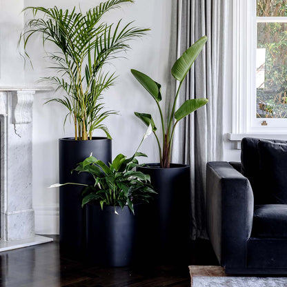 The Loob Tall Planter | Slim Contemporary Column Pot