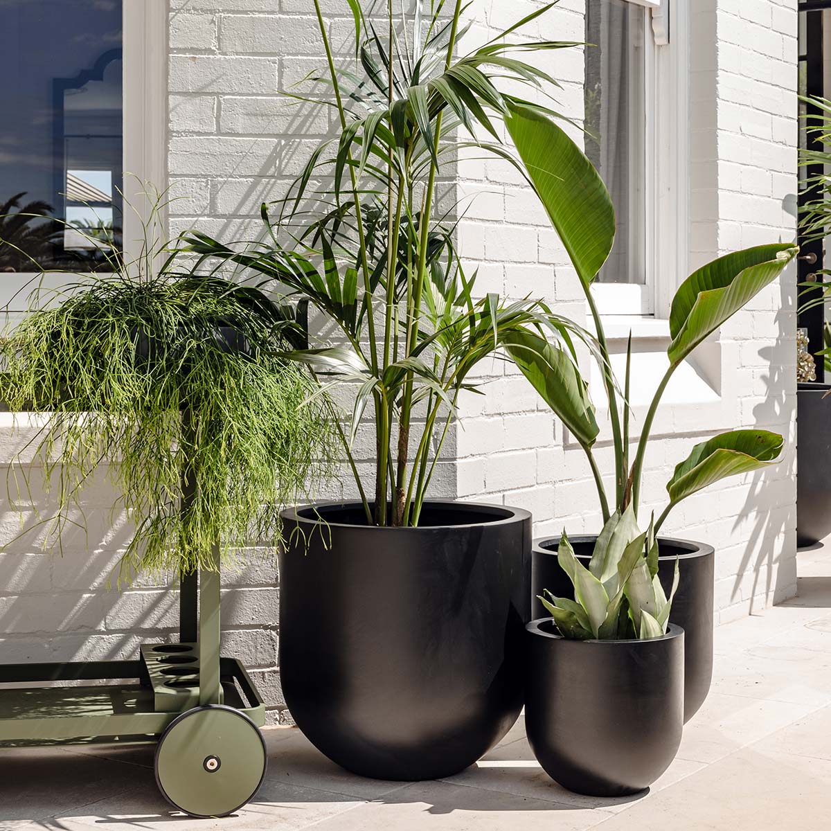 The Straight Up Planter | Small Contemporary Indoor Pot