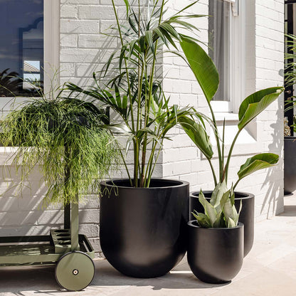 The Straight Up Planter | Small Contemporary Indoor Pot