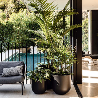 The Straight Up Planter | Small Contemporary Indoor Pot