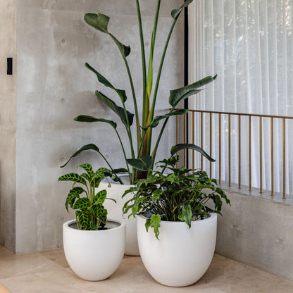 The Tub Egg-Shaped Planter | Classic Fiberglass Pot