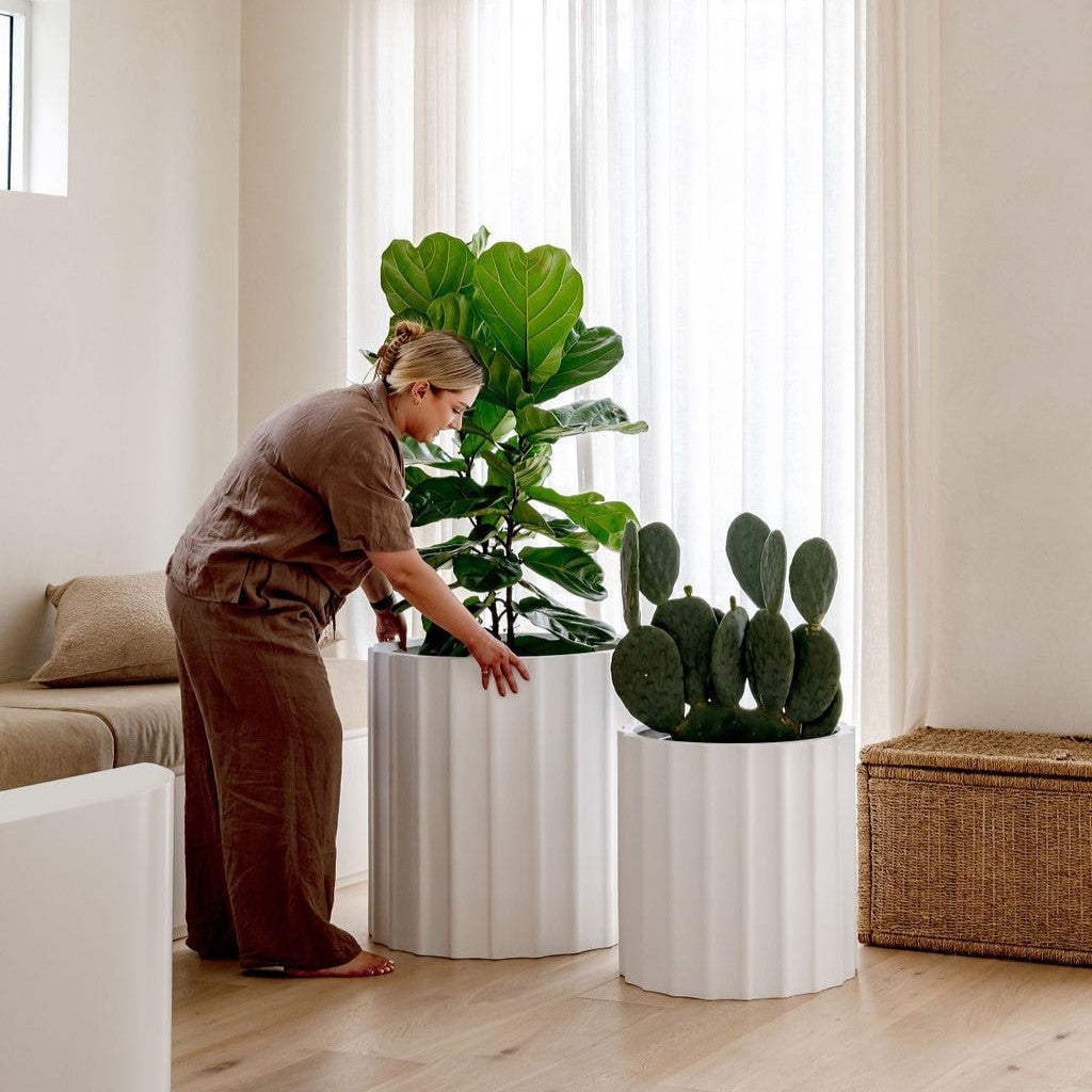 The Ripple Statement Planter | Unique Architectural Pot