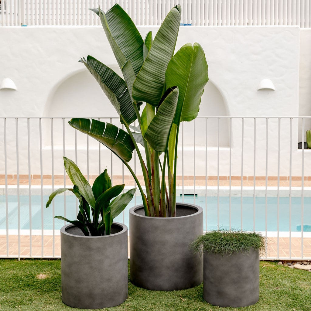 The Choob Contemporary Planter | Sleek Cylinder Pot Set