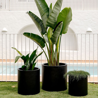 The Choob Contemporary Planter | Sleek Cylinder Pot Set