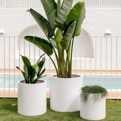 The Choob Contemporary Planter | Sleek Cylinder Pot Set