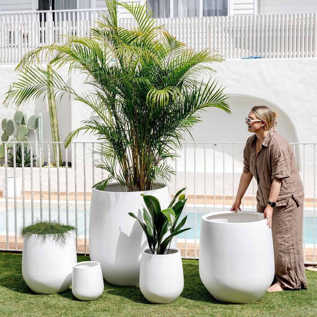 The Jitt Flared Planter | Unique Modern Statement Pot