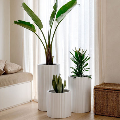 The Ribbed Loob Tall Planter | Fluted Column Cluster Pot