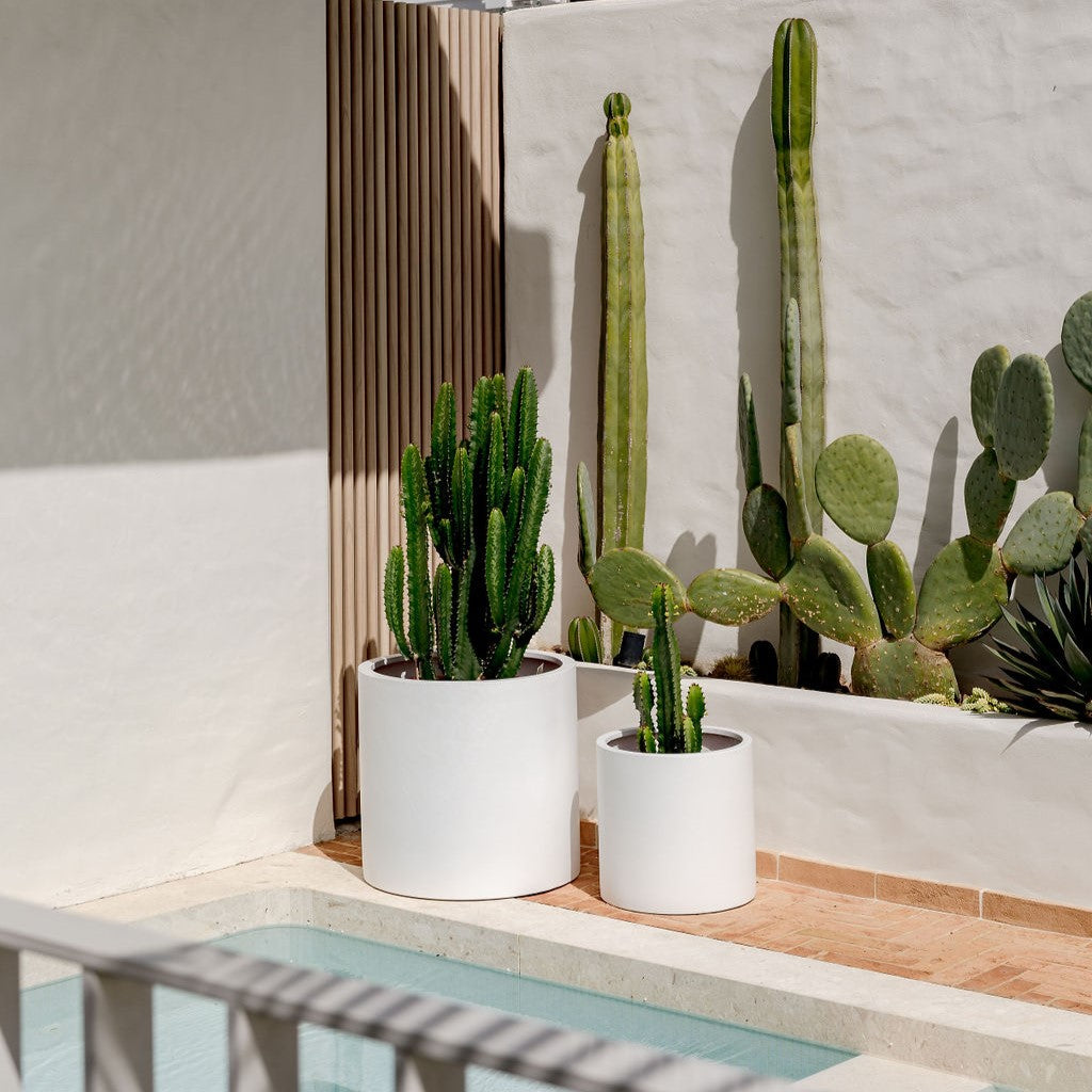 The Choob Contemporary Planter | Sleek Cylinder Pot Set