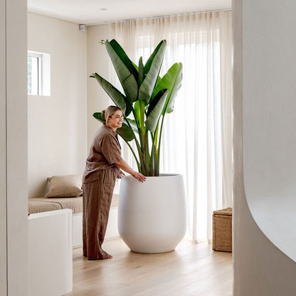 The Jitt Flared Planter | Unique Modern Statement Pot
