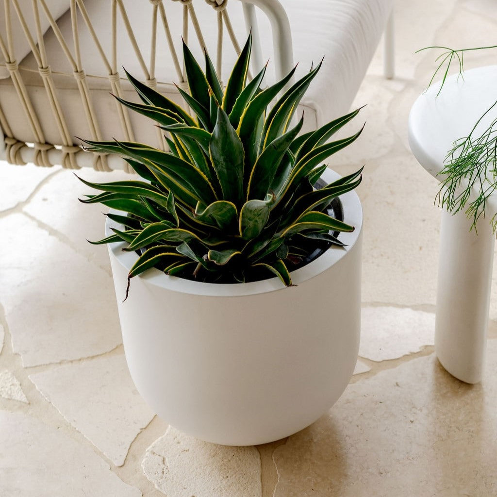 The Straight Up Planter | Small Contemporary Indoor Pot
