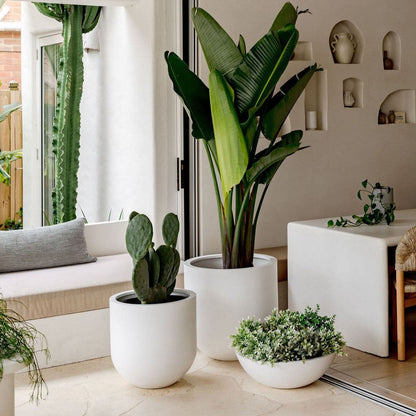 The Straight Up Planter | Small Contemporary Indoor Pot