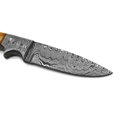 Damascus Drop Point TD-102 by Titan International K with swirled pattern and wooden handle on Tampa Home & Garden Store