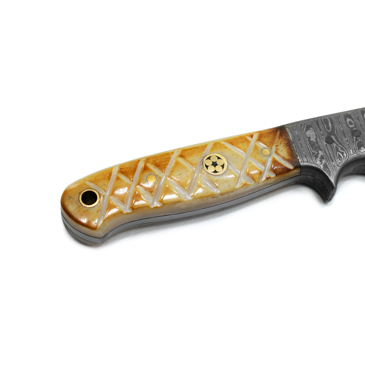Drop Point Damascus blade TD-102 knife with orange-bone handle, brass rivets, patterned grip on Tampa Home & Garden Store