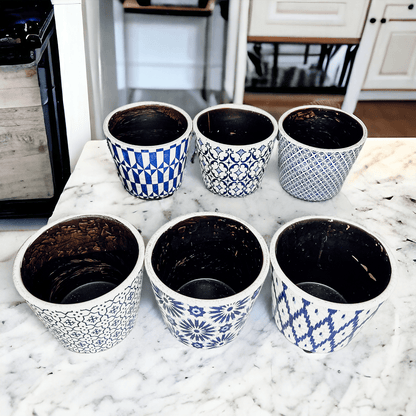 TERRACOTTA POT 5.5" - Tampa Home & Garden Store