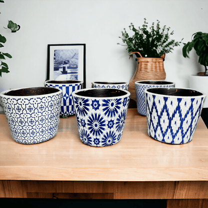 TERRACOTTA POT 5.5" - Tampa Home & Garden Store