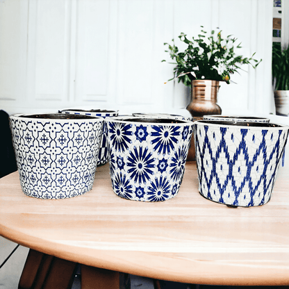 TERRACOTTA POT 5.5" - Tampa Home & Garden Store