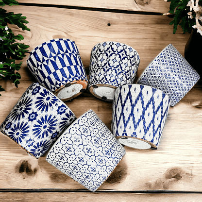 TERRACOTTA POT 5.5" - Tampa Home & Garden Store