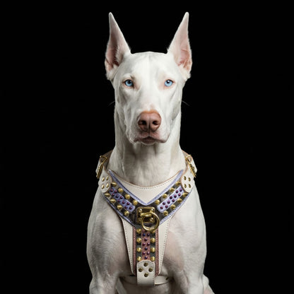 THE CANDY Harness - Tampa Home & Garden Store