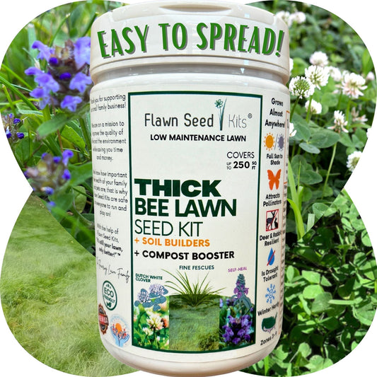 Thick Bee Lawn Seed Kit by Flawn Seed Kits, low maintenance lawn seeds on Tampa Home & Garden Store