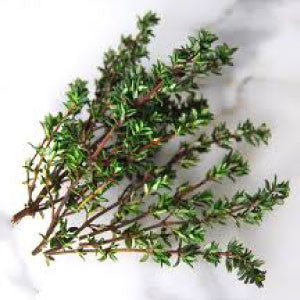 THYME Seeds - Tampa Home & Garden Store