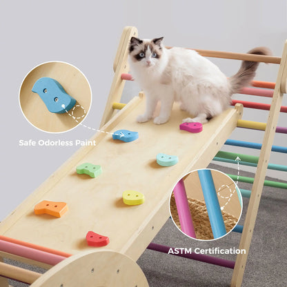 Tiny Land 7-in-1 Rainbow Climbing Set with Play Pad, wooden frame and colorful plastic holds on Tampa Home & Garden Store