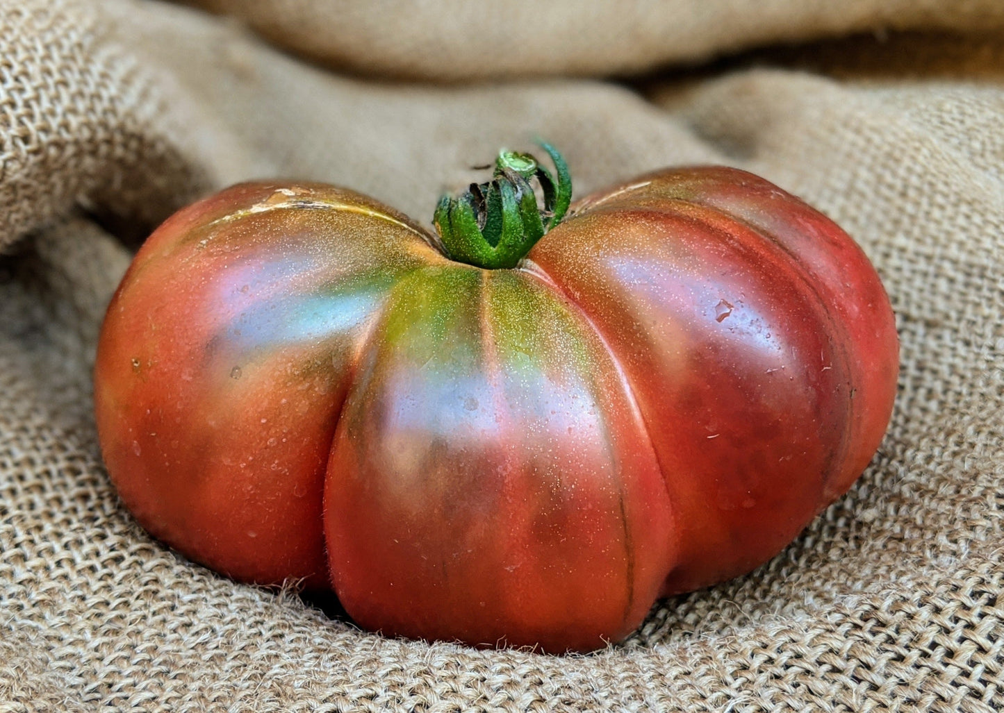 Cherokee Purple Tomato ripe fruit with green calyx and purplish-red skin Seedtime Store on Tampa Home & Garden Store