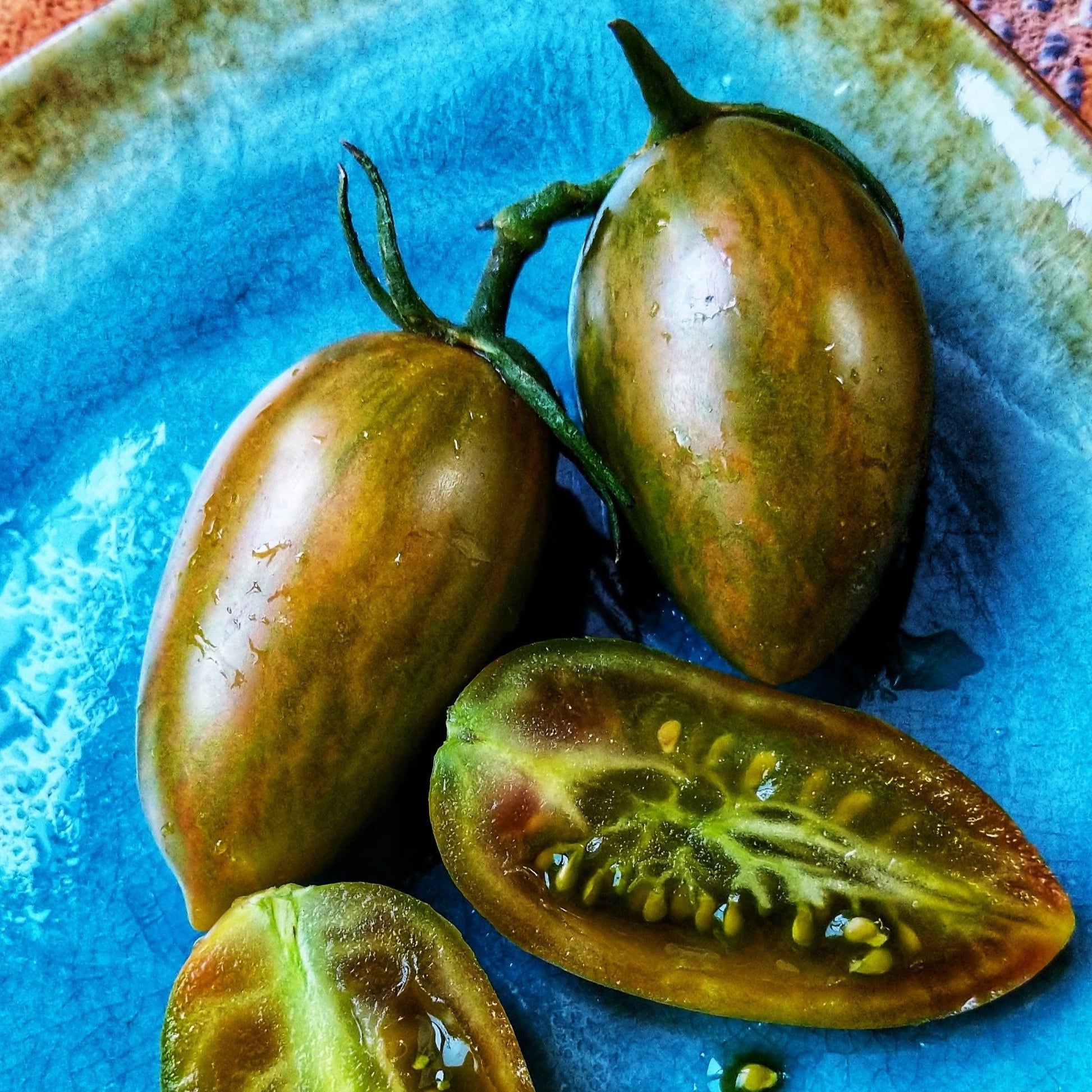 Lucky Tiger Tomato seeds by Seedtime Store; several green-brown tomatoes on blue background on Tampa Home & Garden Store