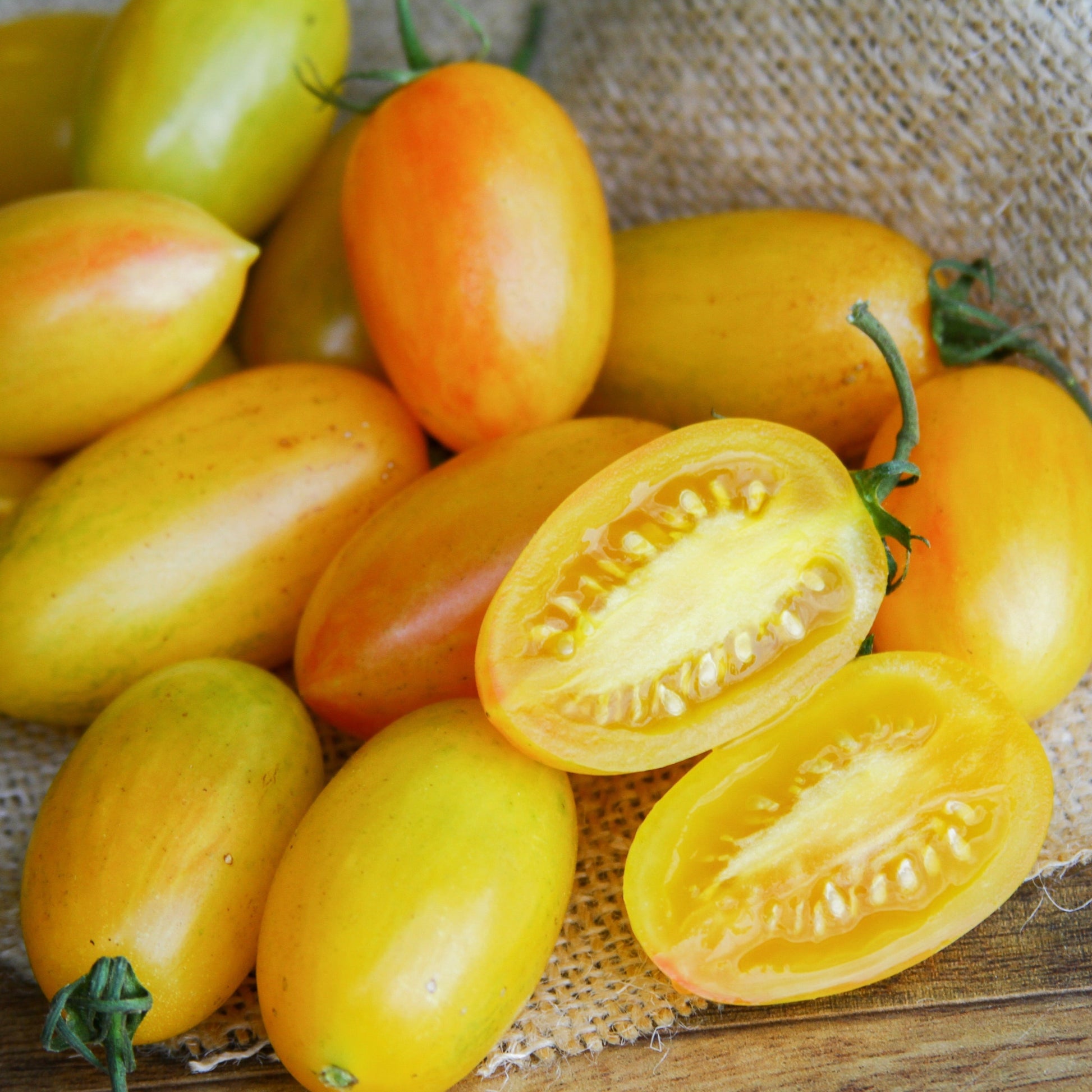 Blush Tomato seeds yellow-orange plum tomatoes in a cluster Seedtime Store on Tampa Home & Garden Store