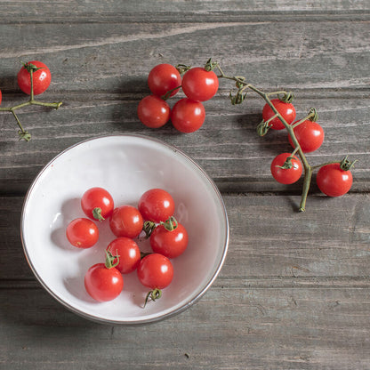 Matt's Wild Cherry Tomato seeds red cherry tomatoes on vine and in a white bowl on Tampa Home & Garden Store