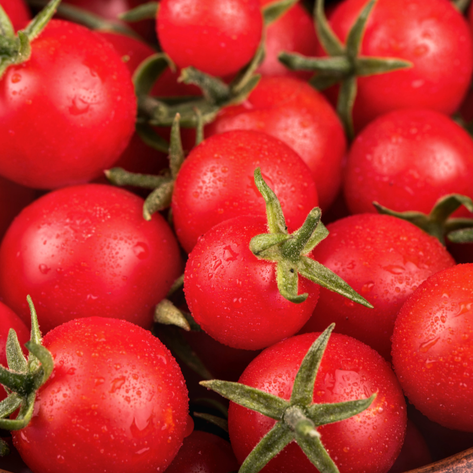 Sweetie Tomato seeds ripe red tomatoes with green calyx Seedtime Store on Tampa Home & Garden Store