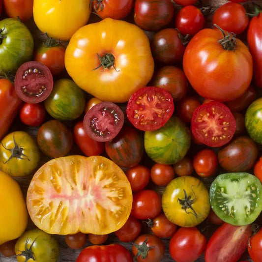 Heirloom Tomato Seeds Blend assorted heirloom tomatoes with sliced interiors on Tampa Home & Garden Store