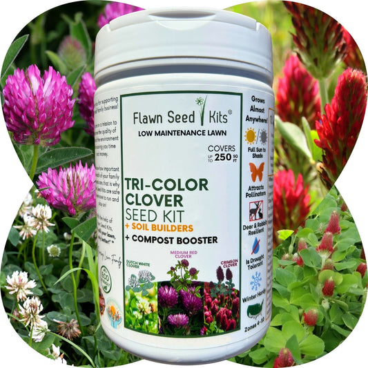 Tri-Color Clover Seed Kit shaker by Flawn Seed Kits in a white bottle among pink clover flowers on Tampa Home & Garden Store