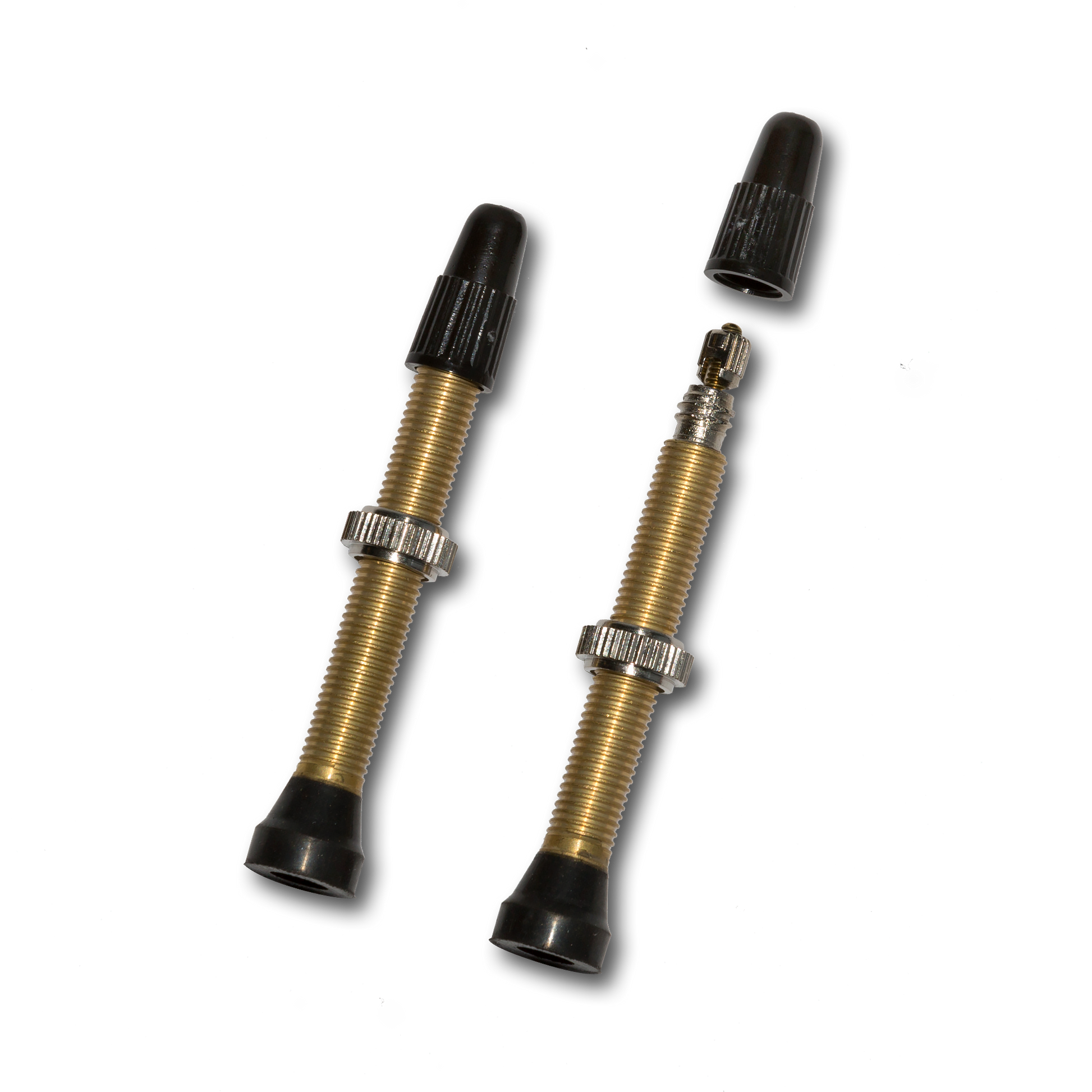 TUBELESS BRASS VALVE PAIR - Tampa Home & Garden Store