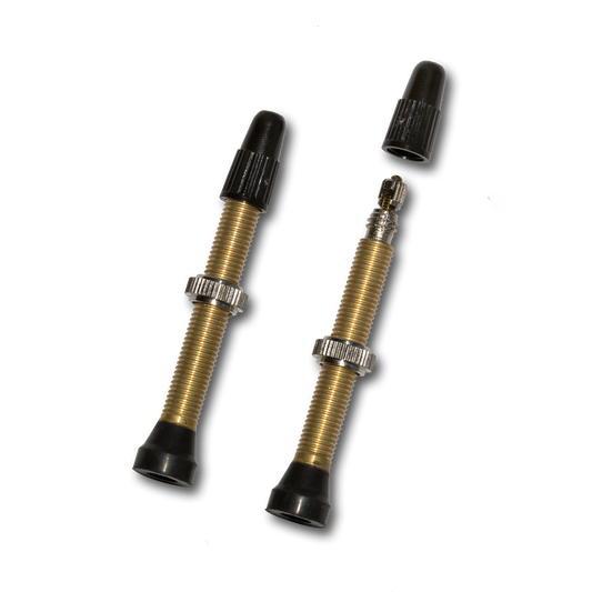 TUBELESS BRASS VALVE PAIR - Tampa Home & Garden Store