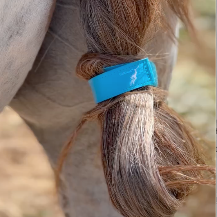 Horse TailCinch™  Equine Tail Ties