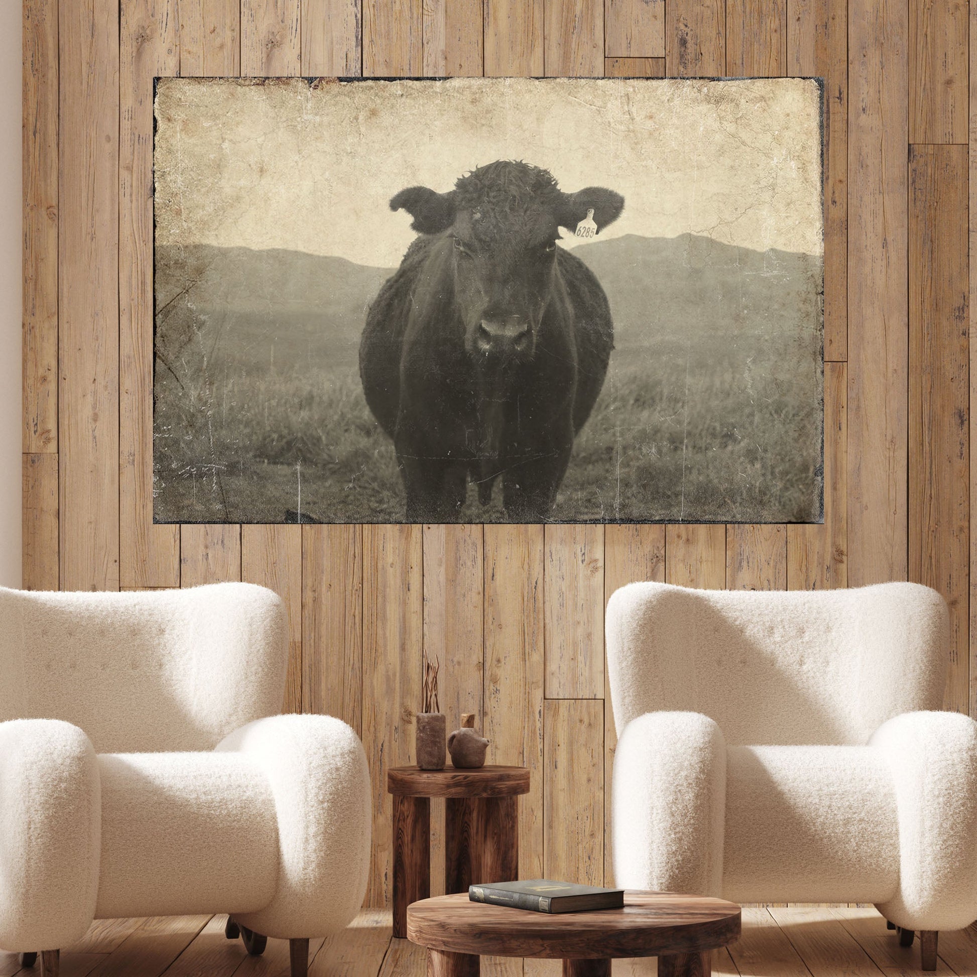Vintage Angus Portrait Canvas, Tailored Canvases, black cow on wood backdrop on Tampa Home & Garden Store