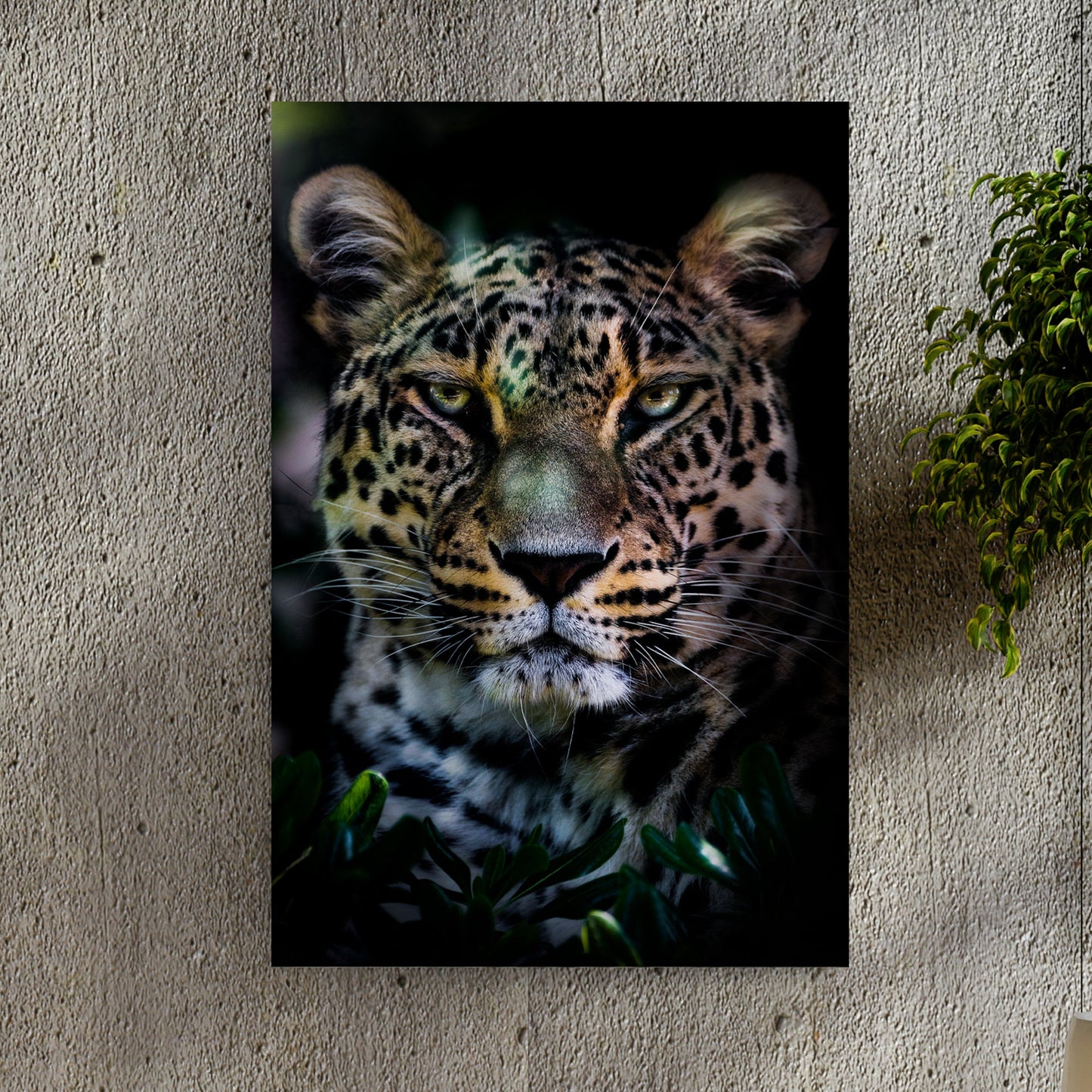 Sneaky Jungle Leopard Canvas Wall Art by Tailored Canvases, close-up leopard face on canvas on Tampa Home & Garden Store