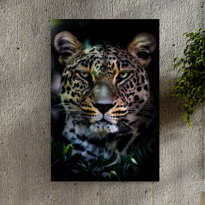 Sneaky Jungle Leopard Canvas Wall Art by Tailored Canvases, close-up leopard face on canvas on Tampa Home & Garden Store