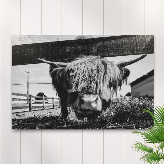 Curious Highland Cattle monochrome canvas wall art Tailored Canvases crafting canvas on Tampa Home and Garden Store