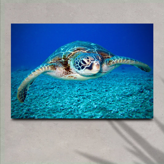 Green Sea Turtle Canvas Wall Art by Tailored Canvases, vibrant blue crafting canvas on Tampa Home & Garden Store