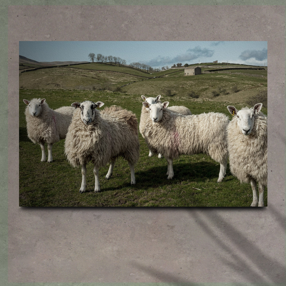 Flock Of Sheep Canvas Wall Art by Tailored Canvases, rural hillside scene on Tampa Home & Garden Store