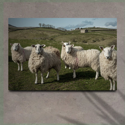 Flock Of Sheep Canvas Wall Art by Tailored Canvases, rural hillside scene on Tampa Home & Garden Store