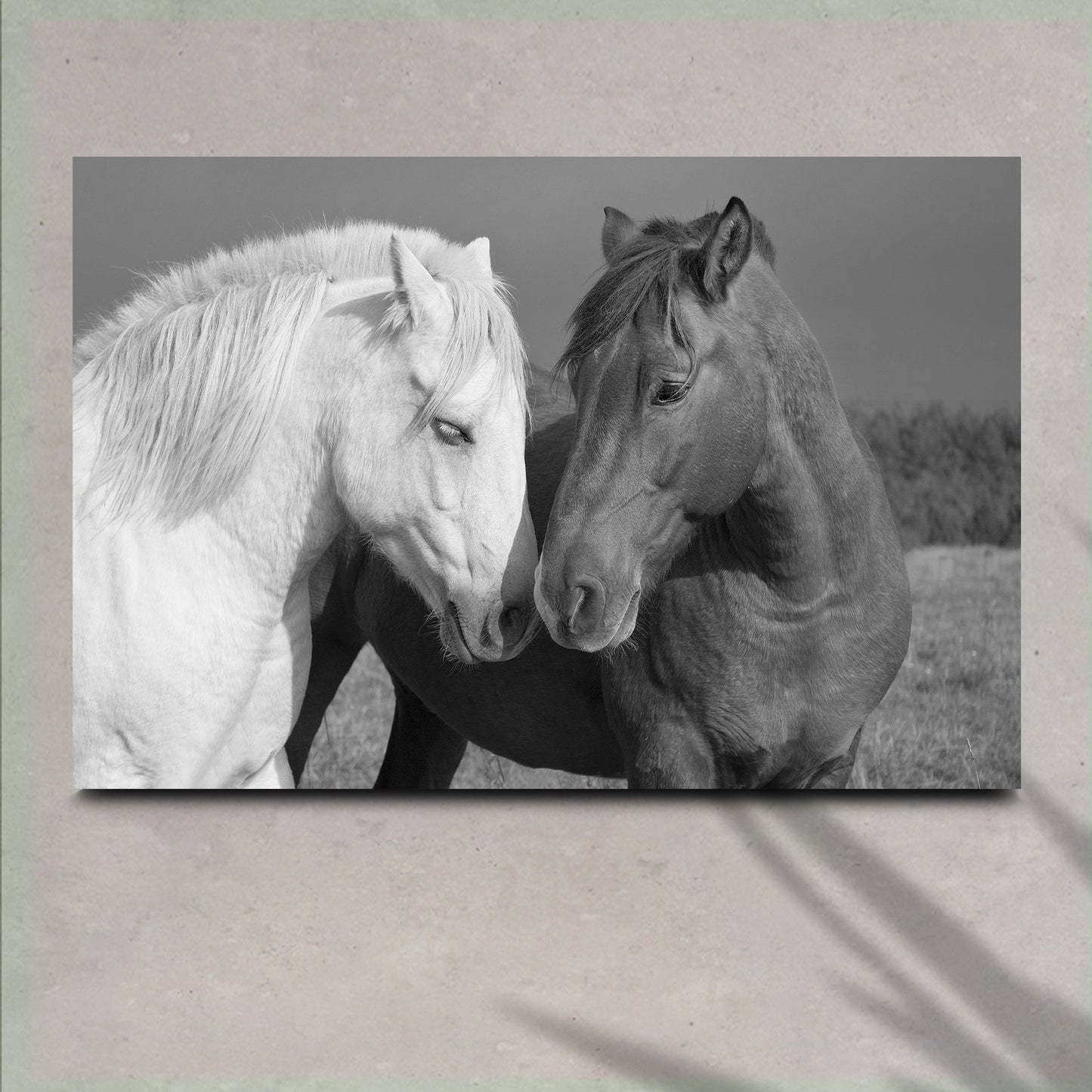 Horse Love Canvas Art: two horses nuzzling heads, white and dark brown Tailored Canvases on Tampa Home & Garden Store